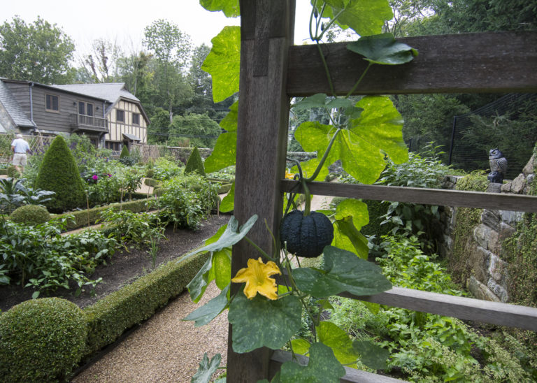 Sleepy Cat Farm Virtual Tour Sleepy Cat Farm