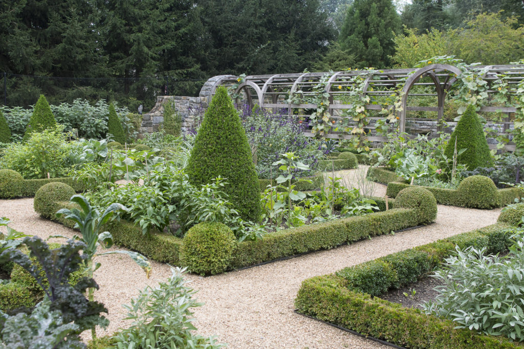 Sleepy Cat Farm Virtual Tour Sleepy Cat Farm