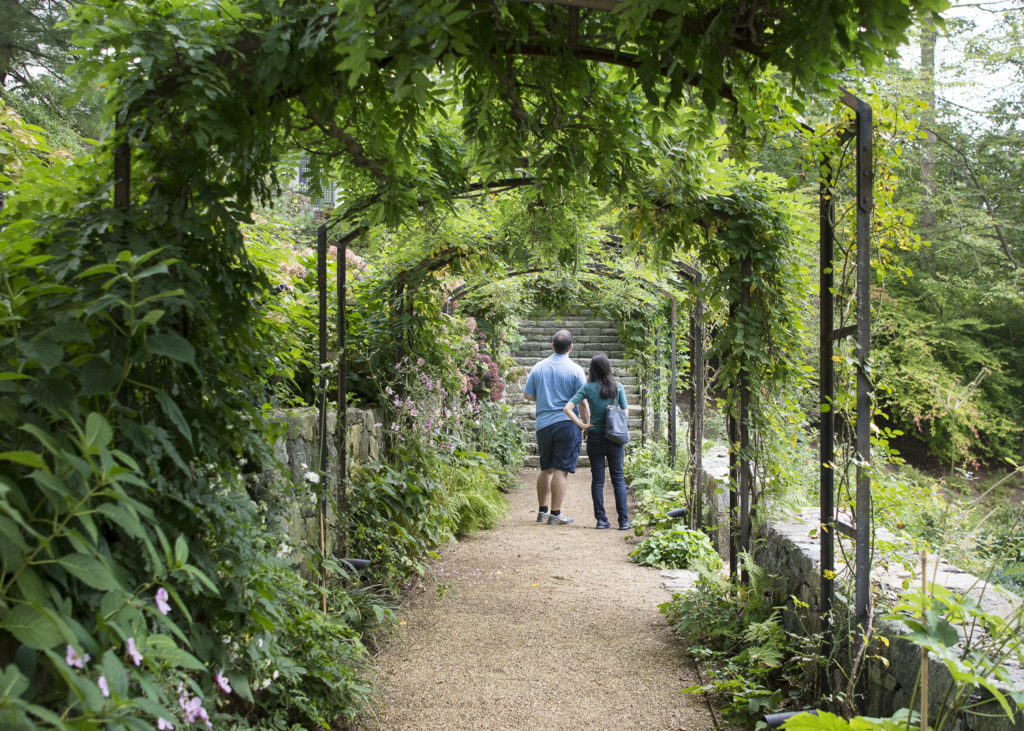 Sleepy Cat Farm Virtual Tour Sleepy Cat Farm