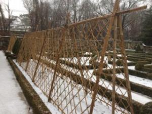 Bamboo Trellis