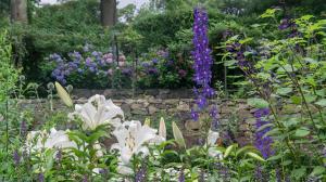 GardenRooms15